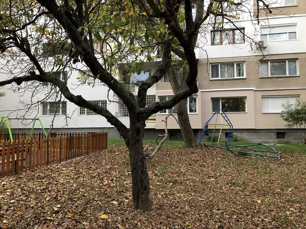 IMG_0760_web.jpg